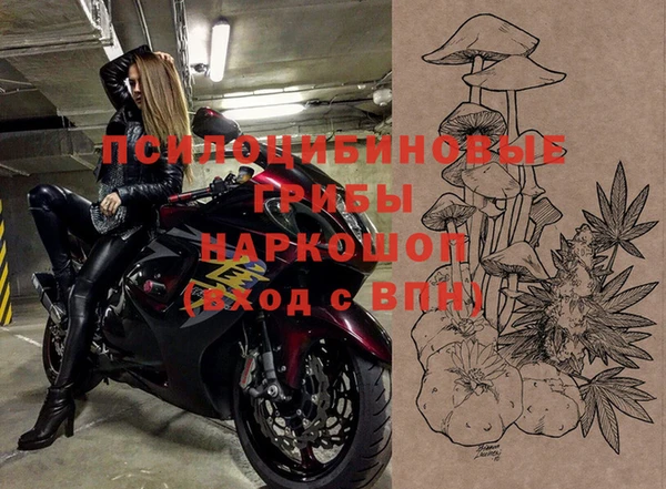 прущий лед Армянск