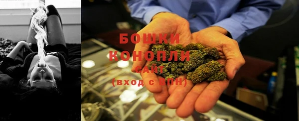 гашик Аркадак