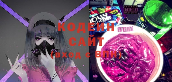гашик Аркадак