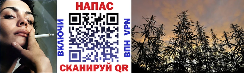 Шишки марихуана индика  Сосновый Бор 